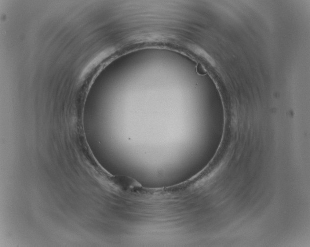 X0000076220922200610122046