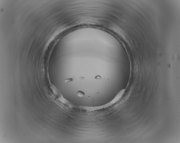 X0000076220923200610122046