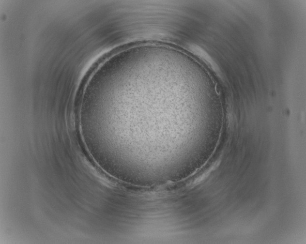 X0000076220924200610122046