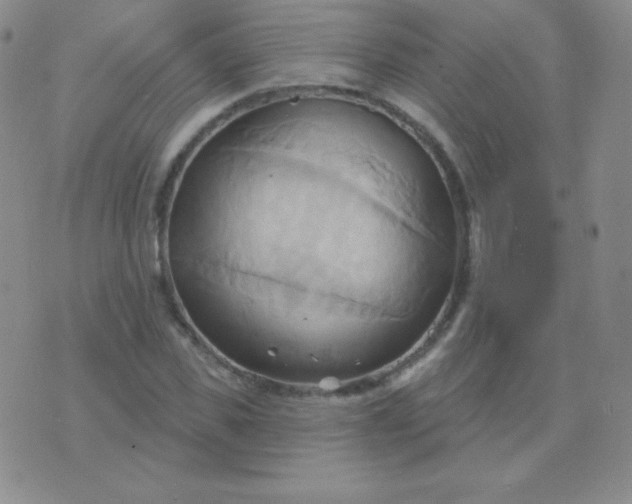 X0000076220925200610122046