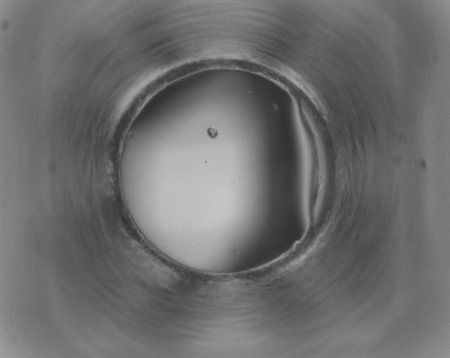 X0000076220926200610122046