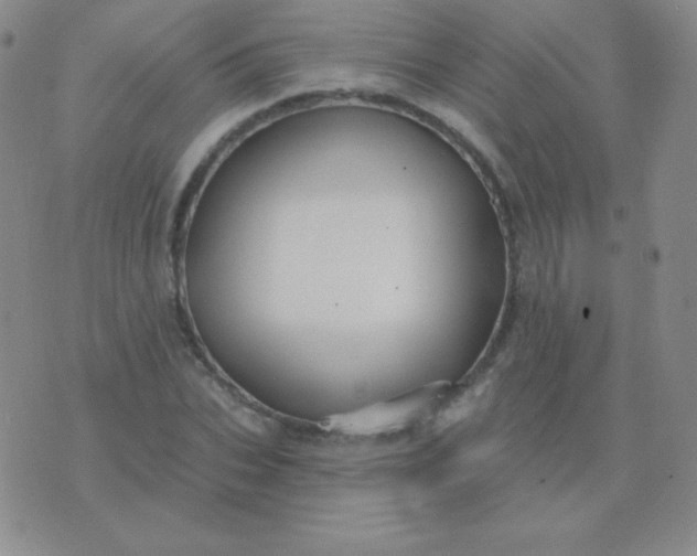 X0000076220927200610122046