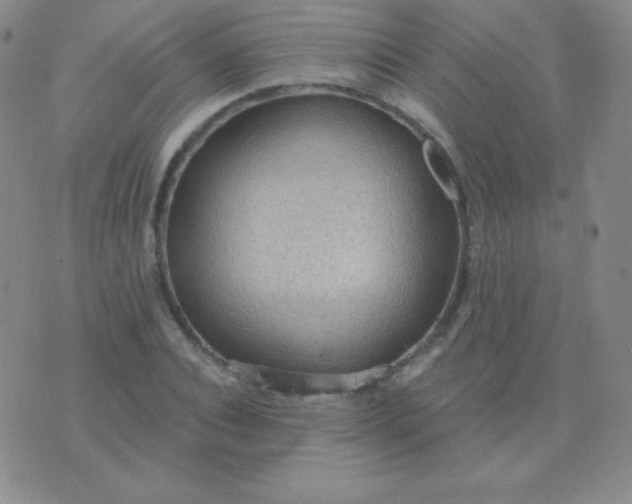 X0000076220928200610122046