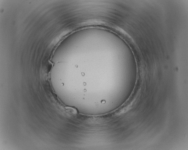 X0000076220929200610122046