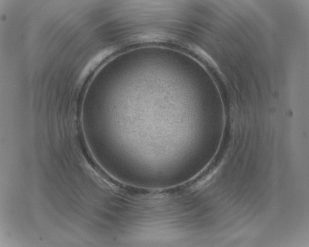 X0000076220930200610122046