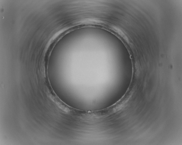 X0000076220931200610122046