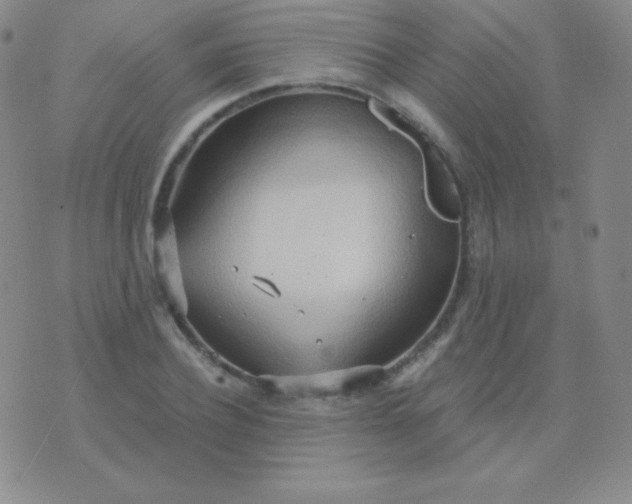 X0000076220932200610122046