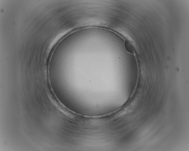 X0000076220933200610122046