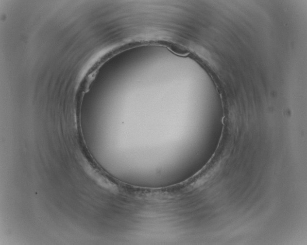 X0000076220934200610122046