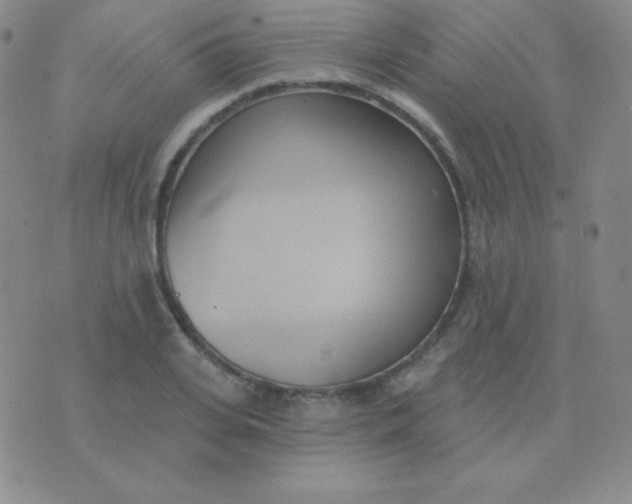 X0000076220935200610122046