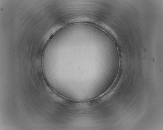 X0000076220937200610122046