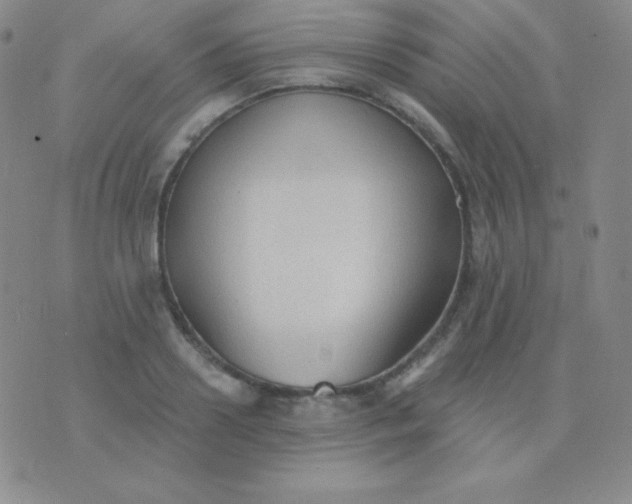 X0000076220938200610122046