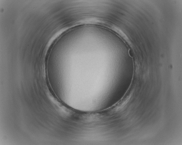 X0000076220939200610122046