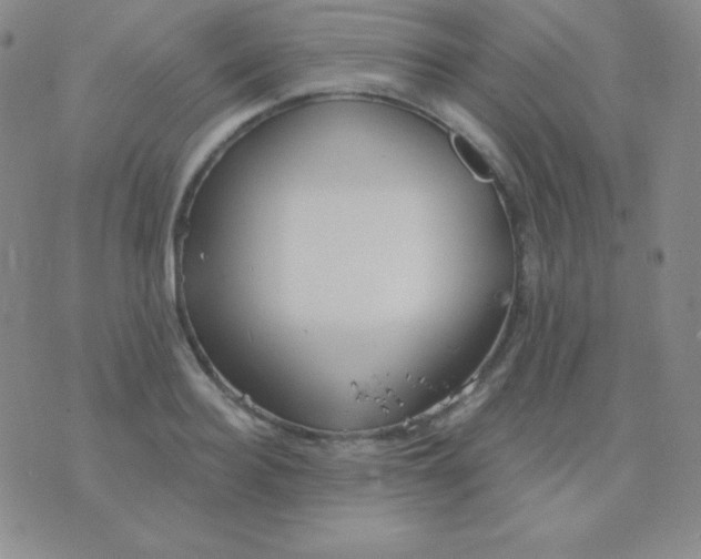 X0000076220940200610122046