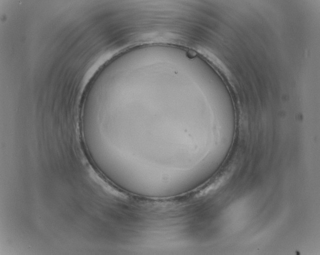 X0000076220941200610122046