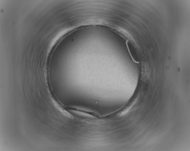 X0000076220942200610122046