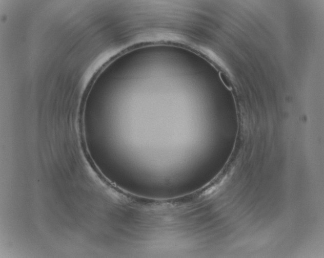 X0000076220943200610122046