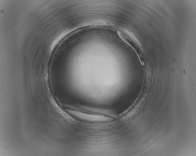 X0000076220944200610122046