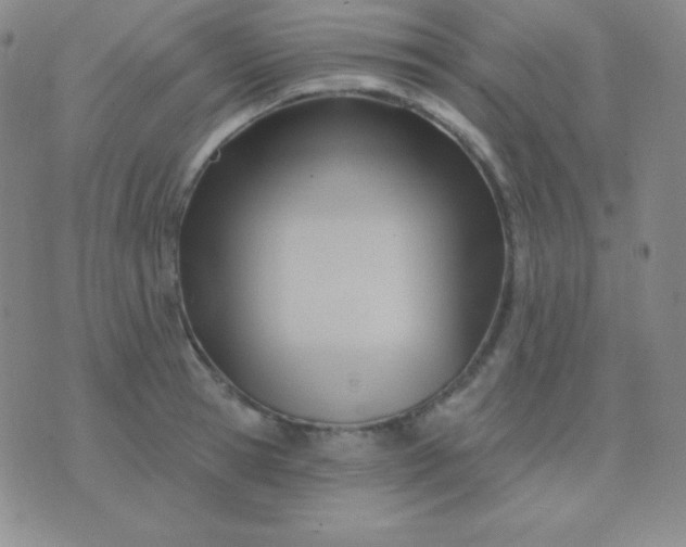 X0000076220945200610122046