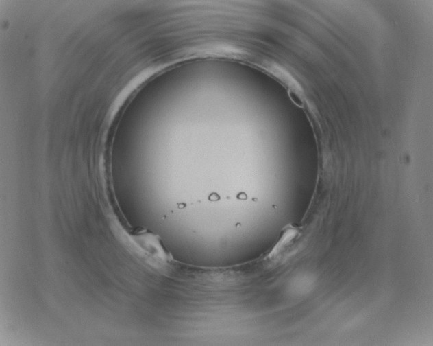 X0000076220947200610122046