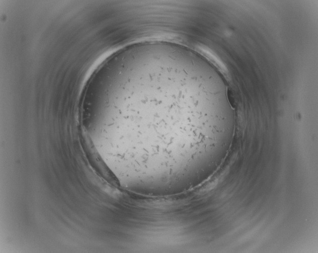 X0000076220948200610122046