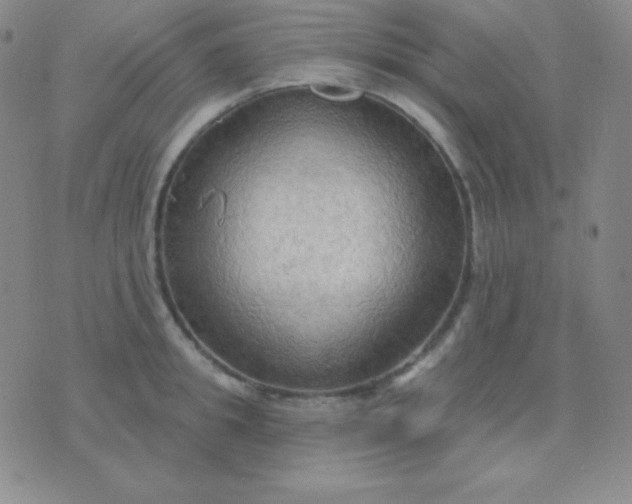 X0000076220949200610122046