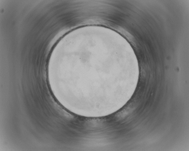 X0000076220950200610122046