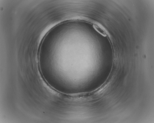 X0000076220951200610122047