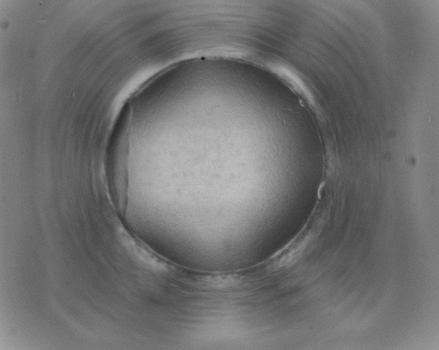 X0000076220952200610122047