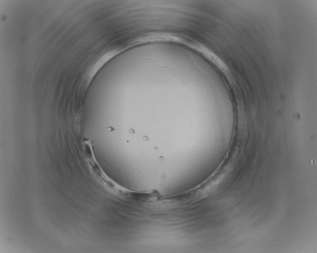 X0000076220953200610122047