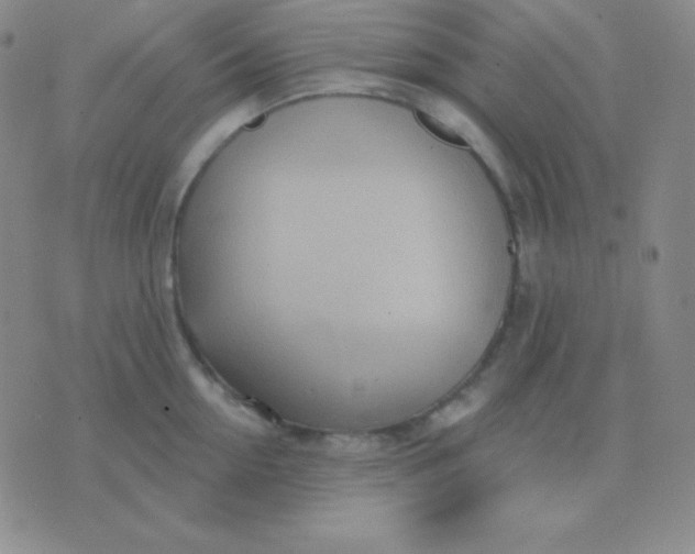 X0000076220954200610122047