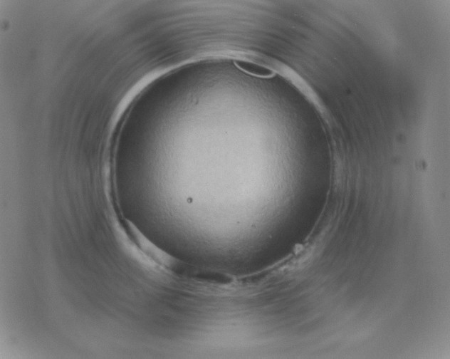 X0000076220955200610122047