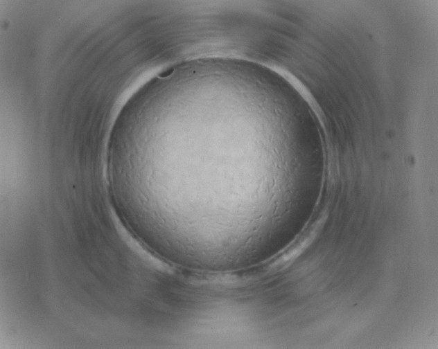 X0000076220957200610122047