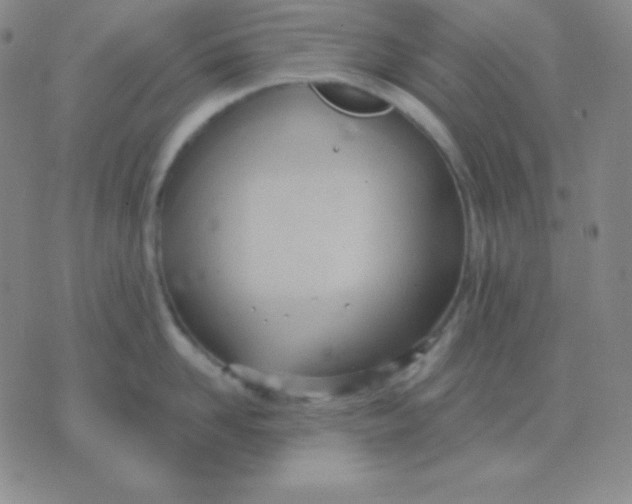 X0000076220958200610122047