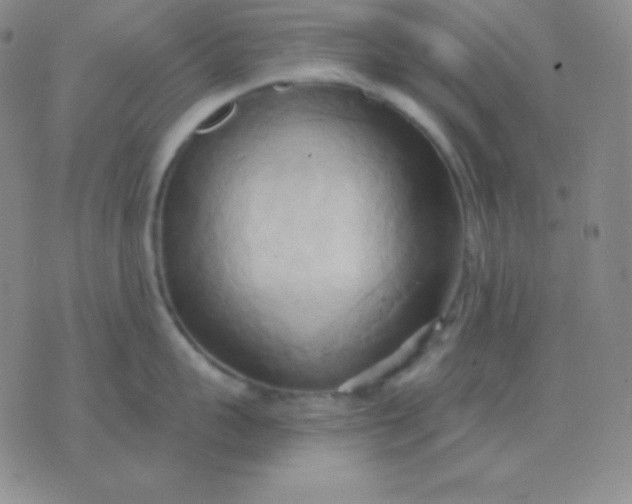 X0000076220959200610122047