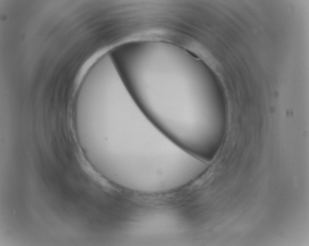 X0000076220960200610122047