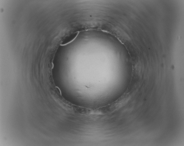 X0000076220961200610122046