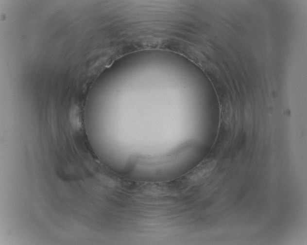 X0000076220962200610122046