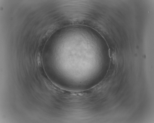 X0000076220963200610122046