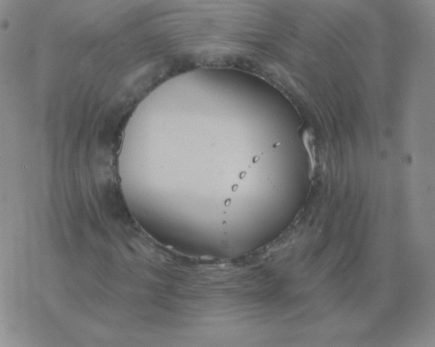 X0000076220964200610122046