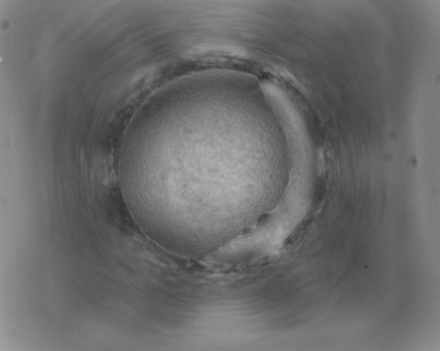 X0000076220965200610122046