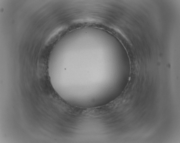 X0000076220967200610122046