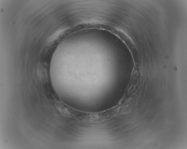 X0000076220968200610122046