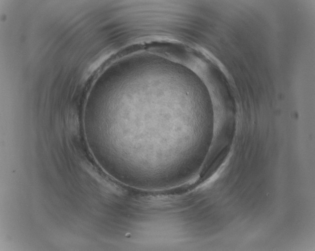 X0000076220969200610122046