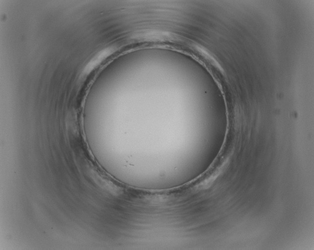 X0000076220970200610122046