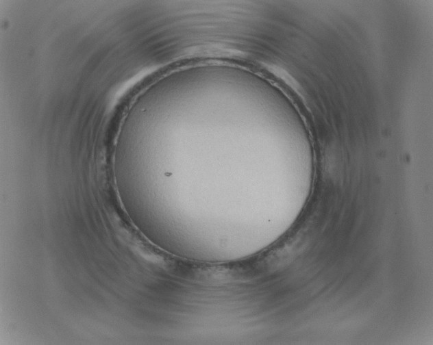 X0000076220971200610122046