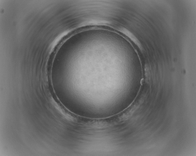 X0000076220972200610122046