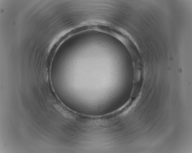 X0000076220973200610122046