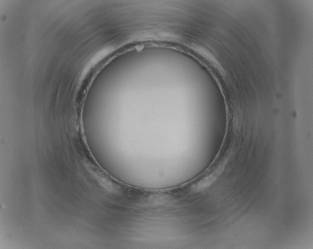 X0000076220974200610122046