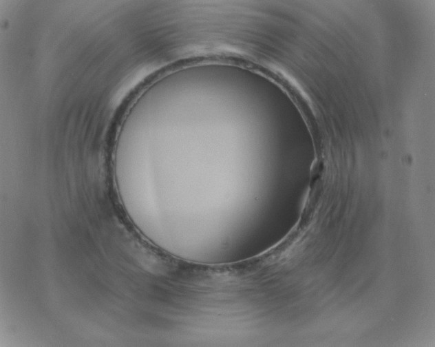 X0000076220975200610122046